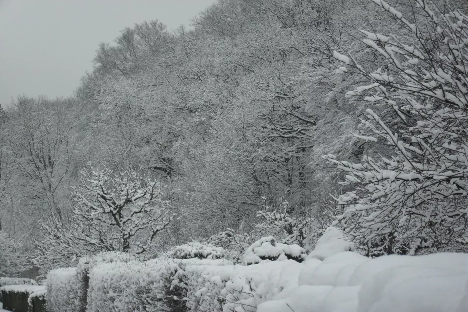 Sächsische Schweiz-Gebied winter 1km