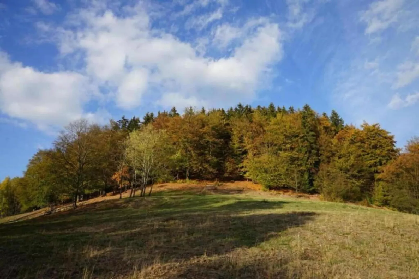 Friedrichshöhe-Gebieden zomer 5km