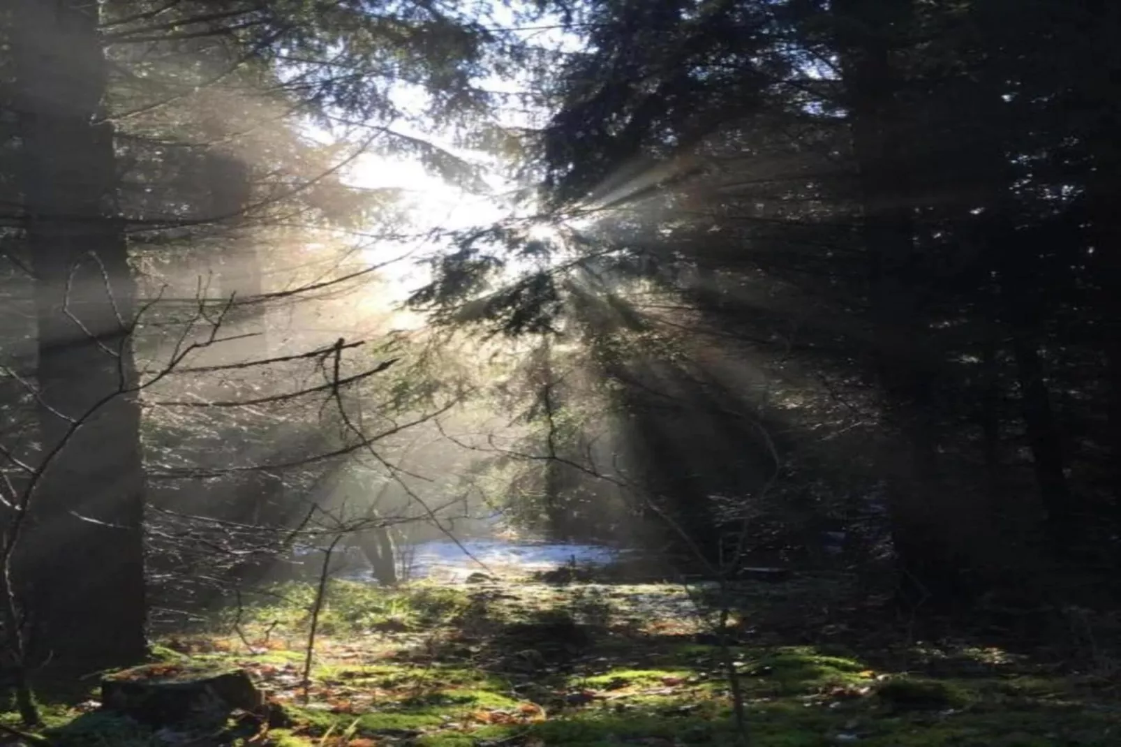 Obermühle-Gebieden zomer 5km