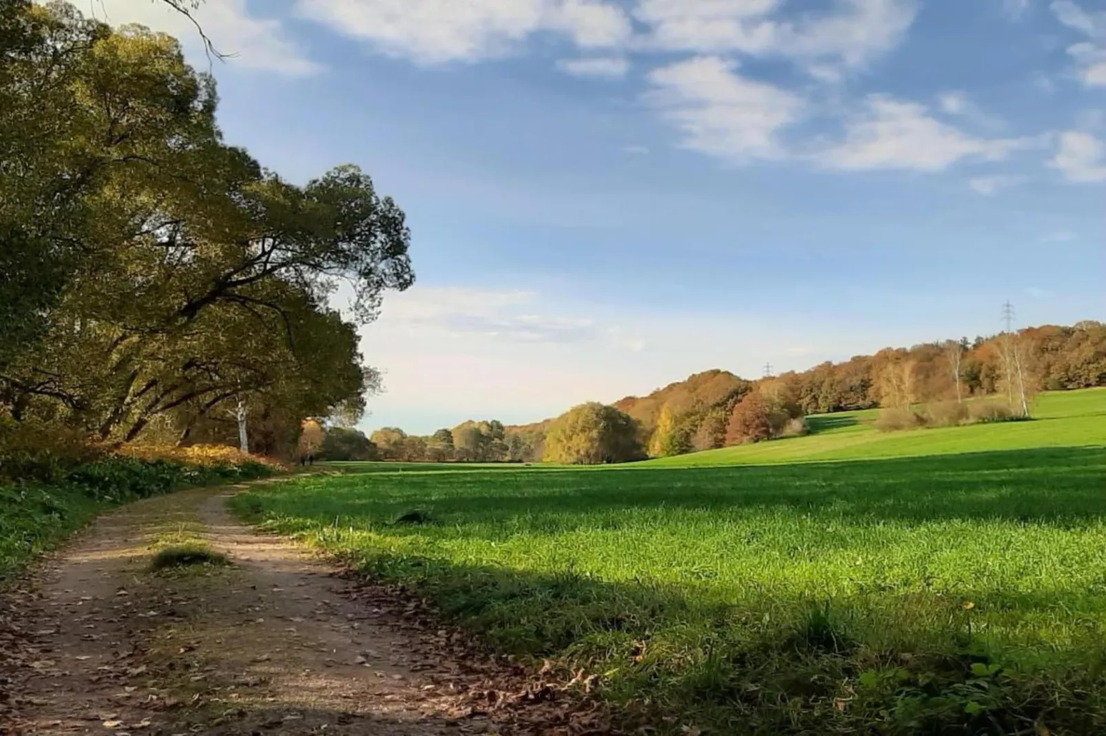 Im Erzgebirge-Gebieden zomer 20km