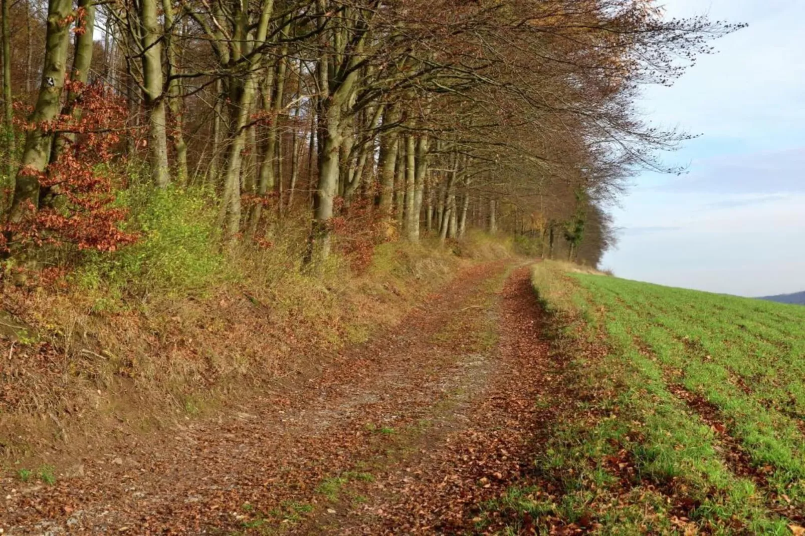 Weserbergland-Gebieden zomer 20km
