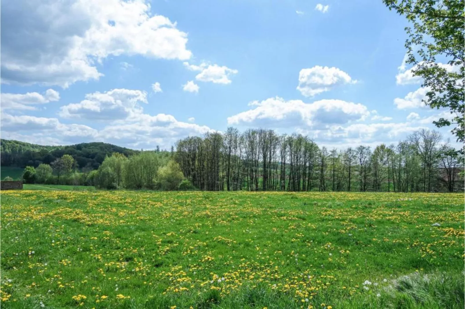 Feriendorf Natur pur 2-Gebieden zomer 20km