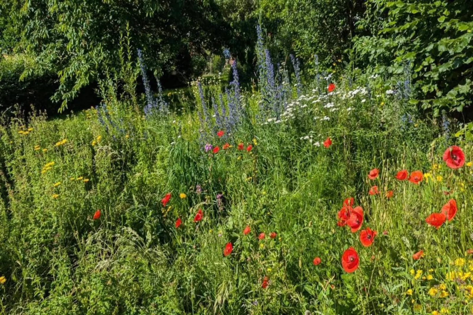 Auf der alten Hofreite-Gebieden zomer 20km