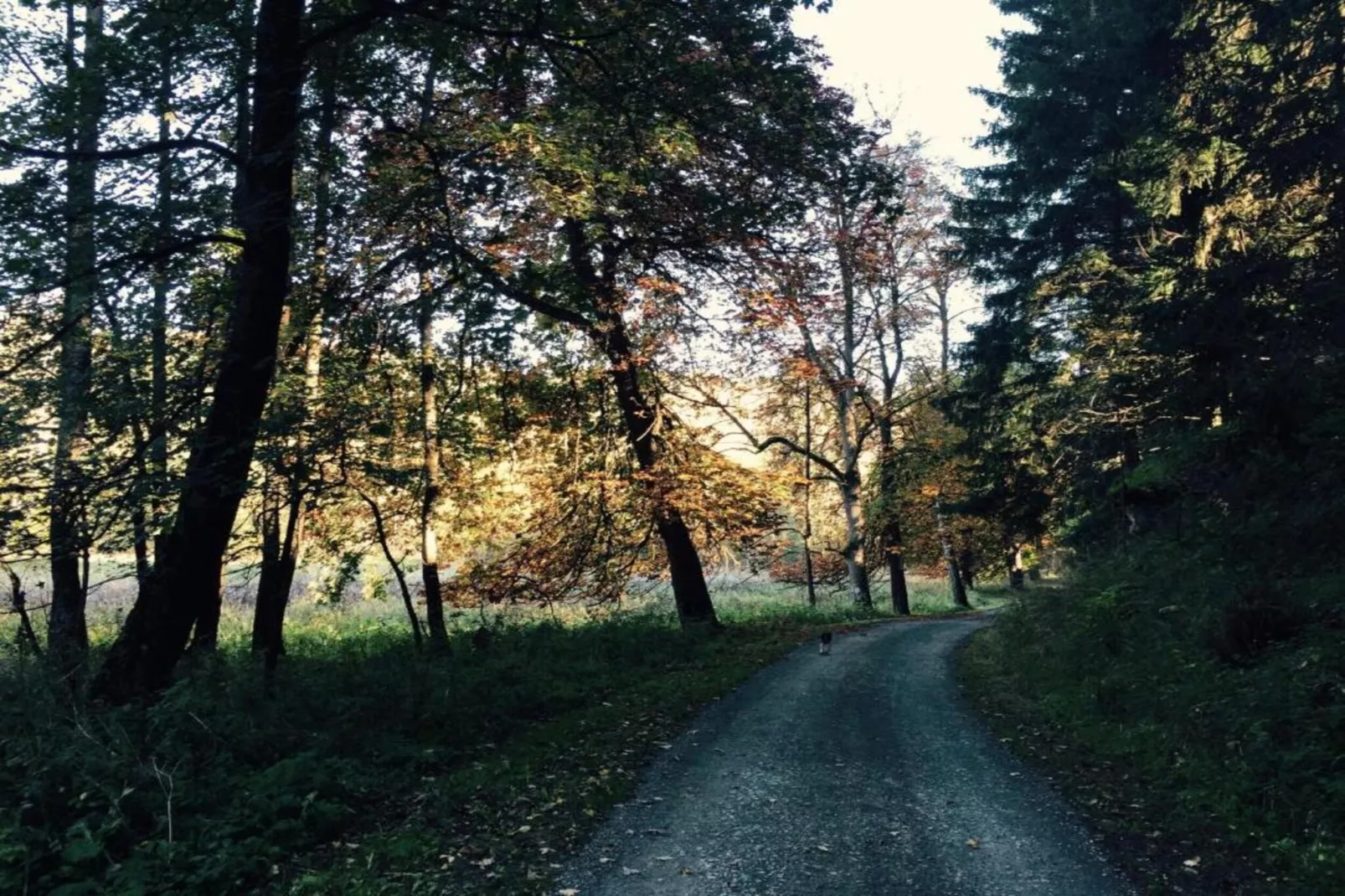 Der alte Kutscherhof-Gebieden zomer 20km