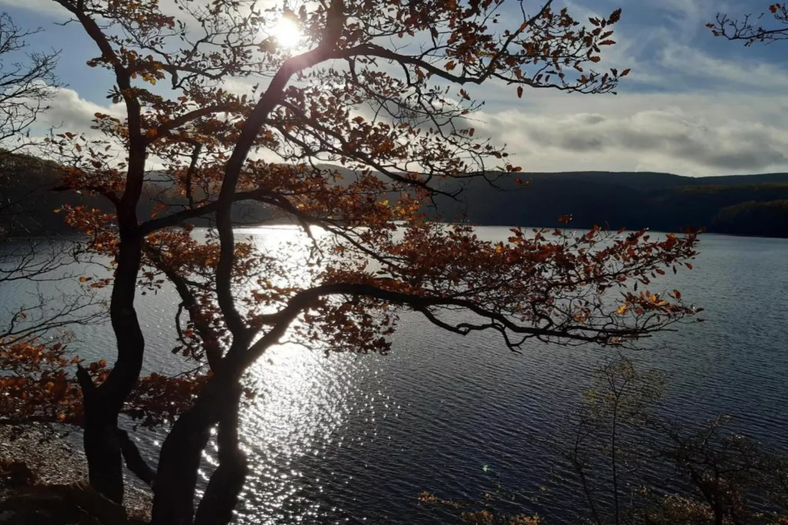 Resort Eifeler Tor 3-Gebieden zomer 5km