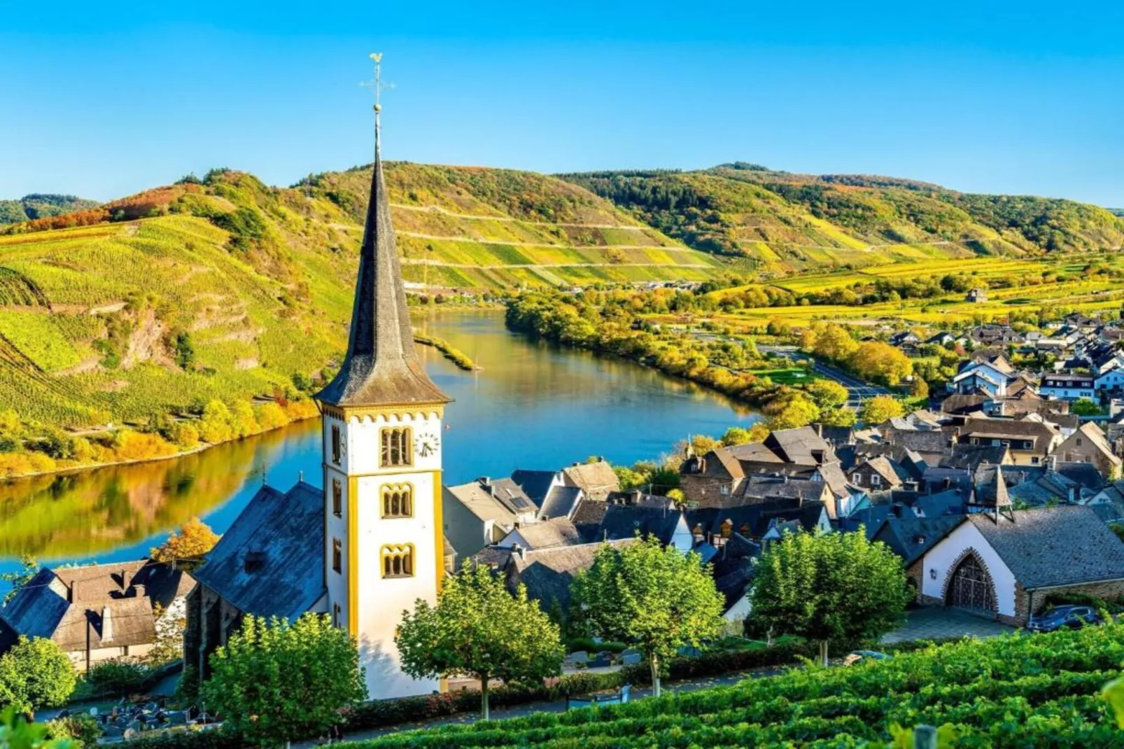 Schwalbennest-Gebieden zomer 5km