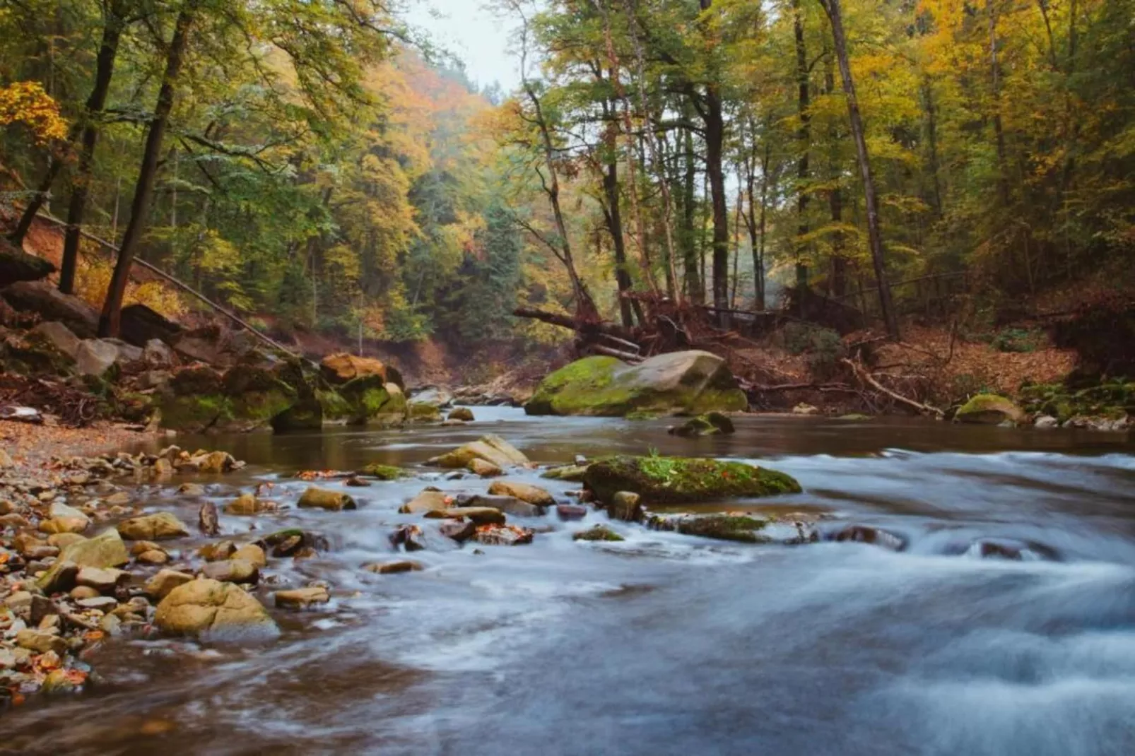 Feinen-Steils-Gebieden zomer 20km