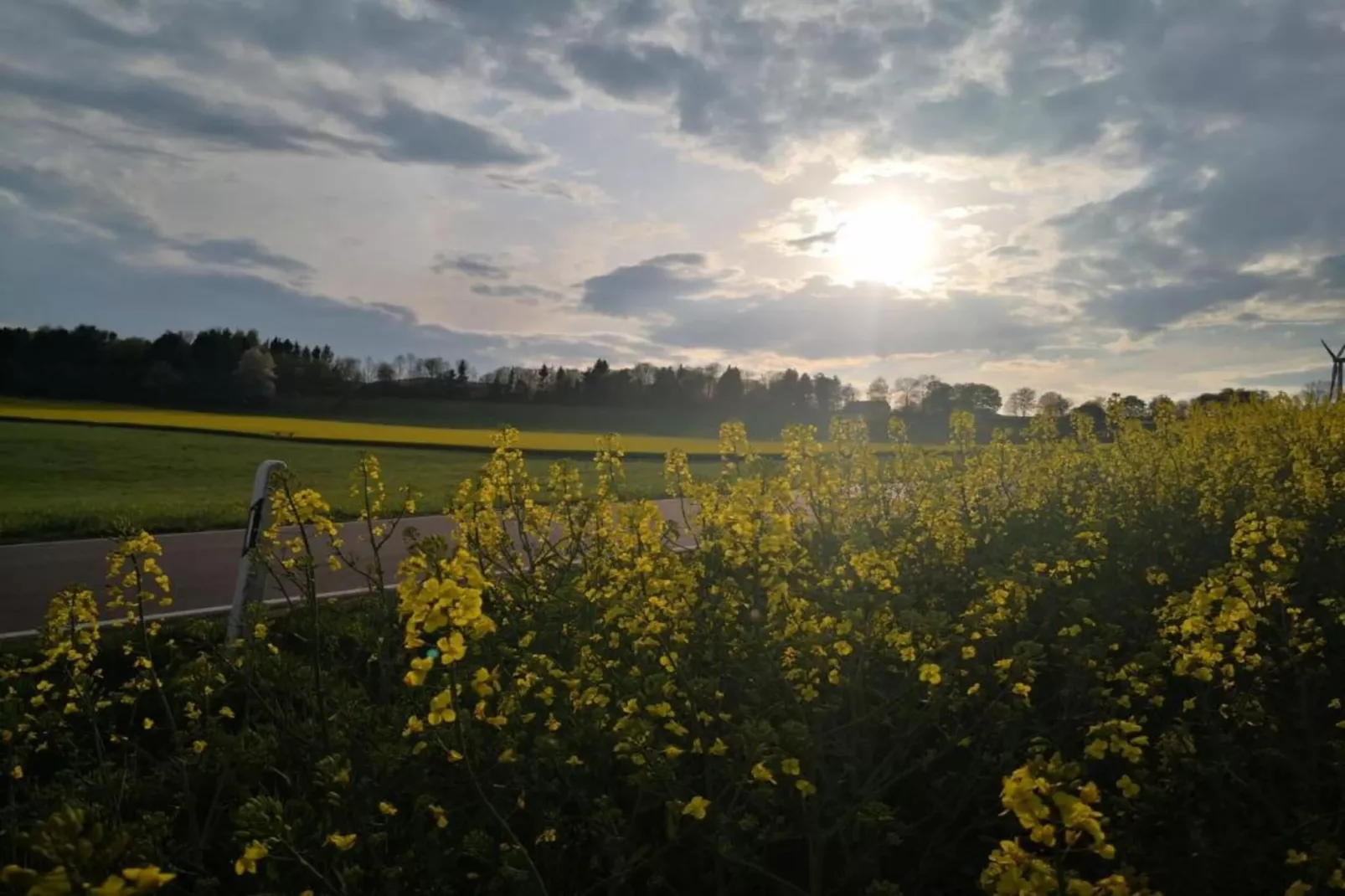 Feriendorf Reinskopf 5-Gebieden zomer 5km