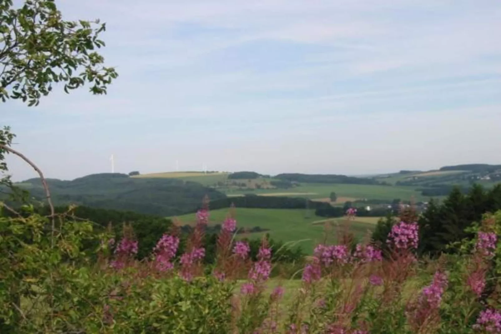 Feriendorf Reinskopf 1-Gebieden zomer 5km