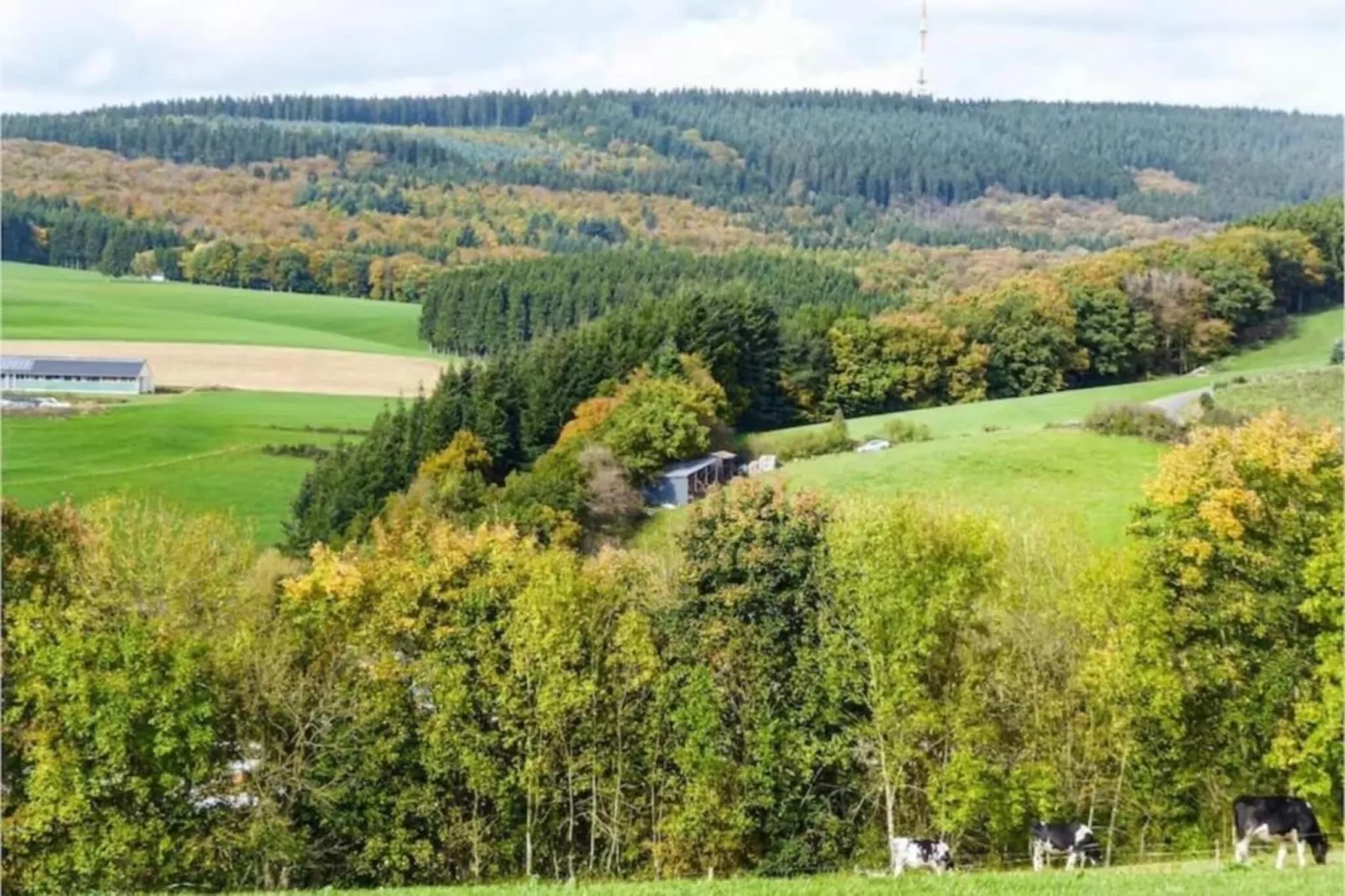 Eschbachtal-Gebieden zomer 20km