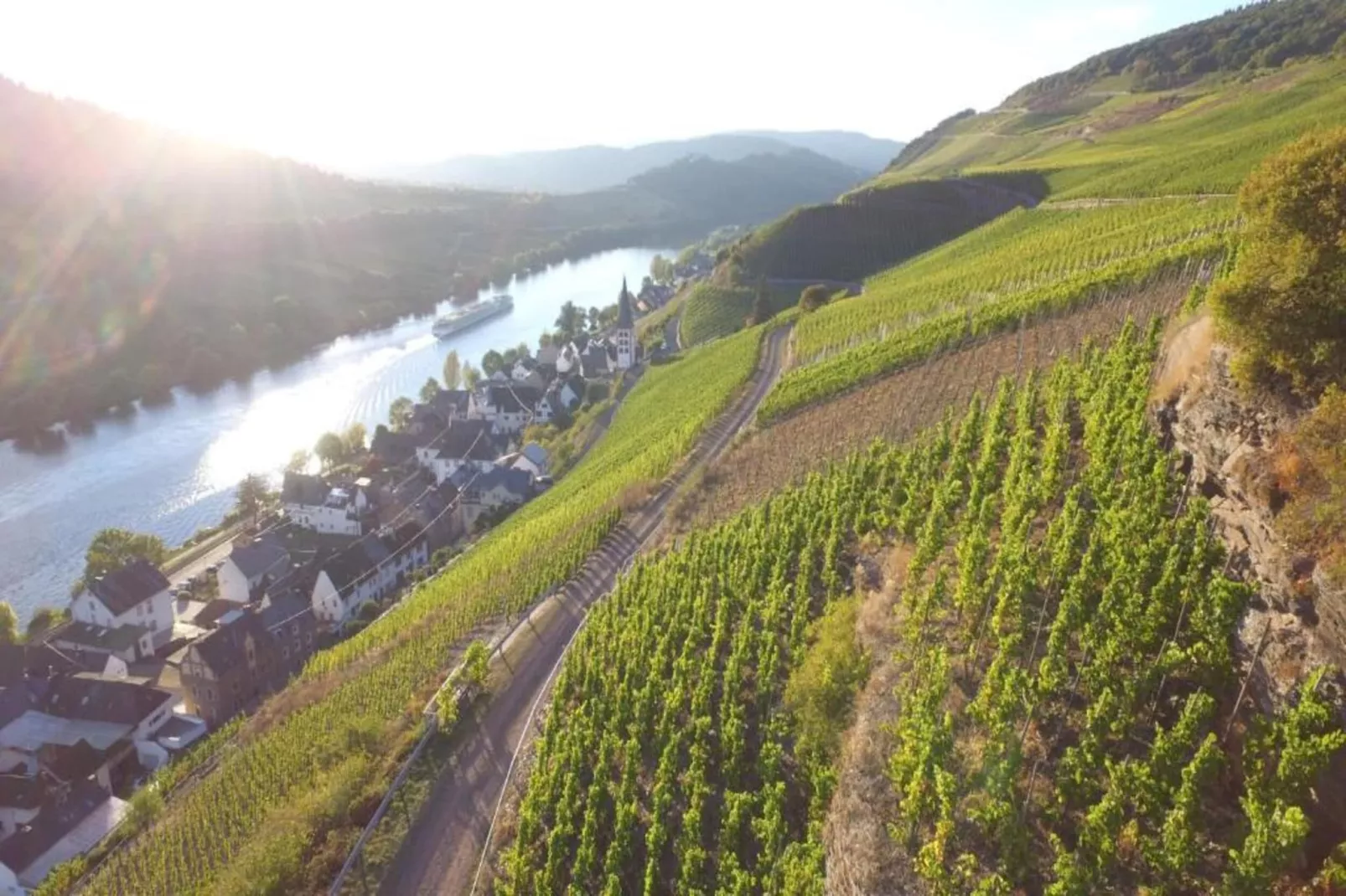 Ferienresort Cochem 34-Gebieden zomer 20km