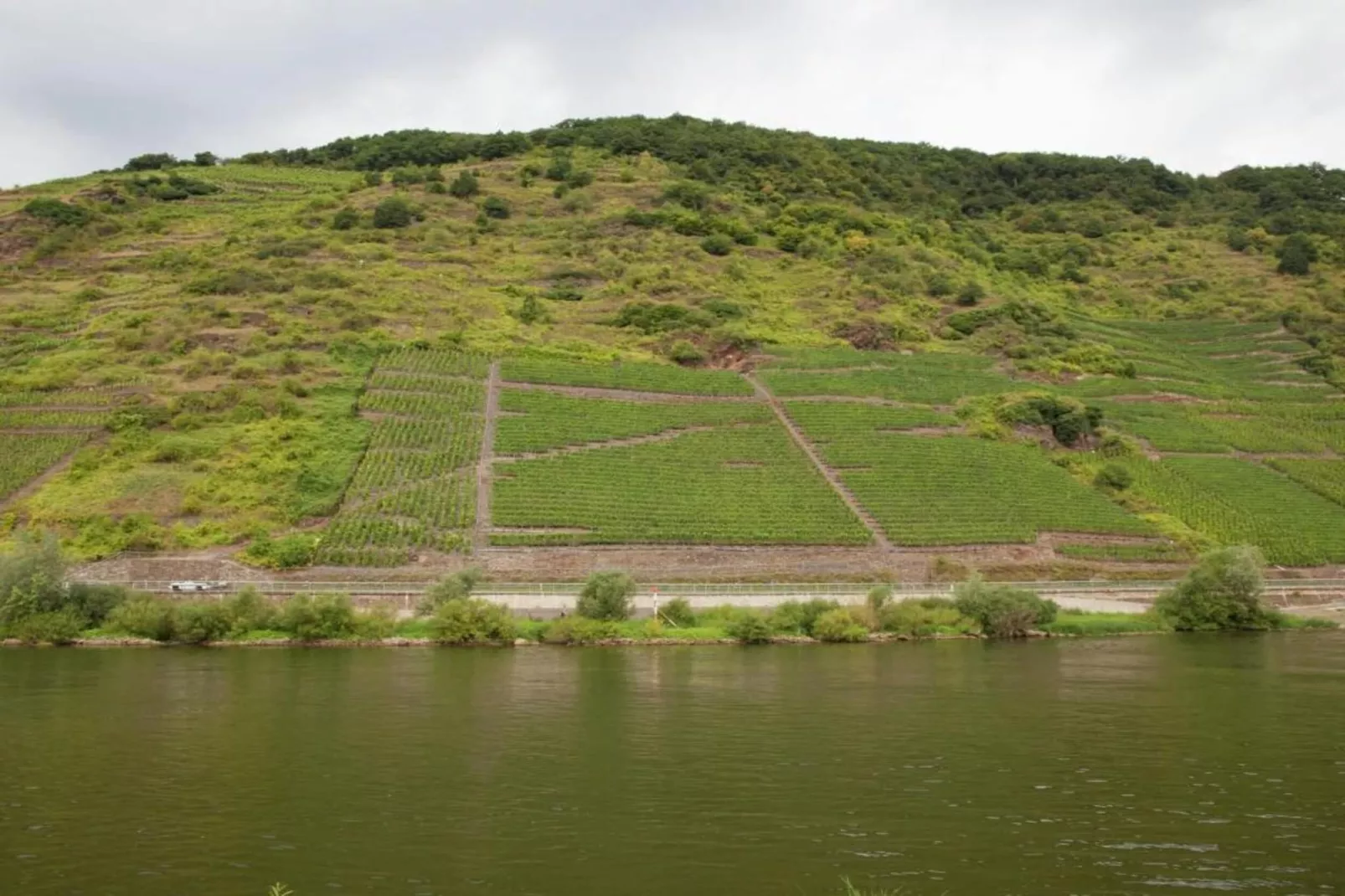Weingut Hausmann-Gebieden zomer 20km