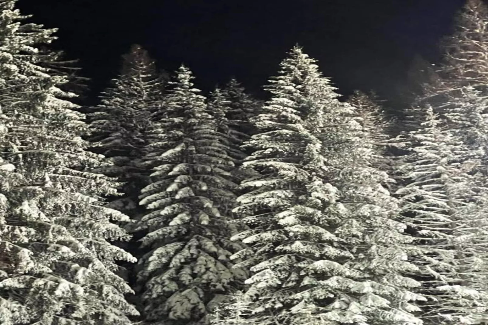Kramer-Gebied winter 20km