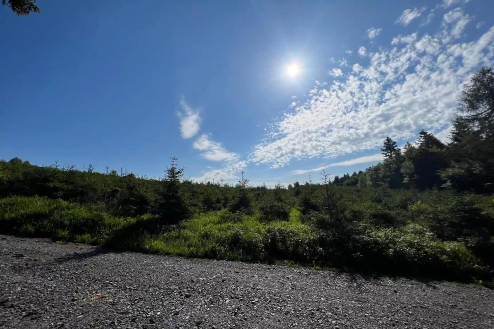 Sauerland-Gebieden zomer 5km