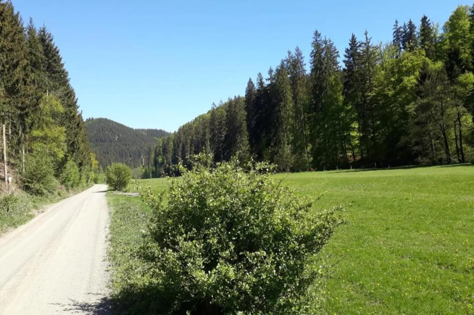 Gruppenhaus Hochsauerland-Gebieden zomer 20km