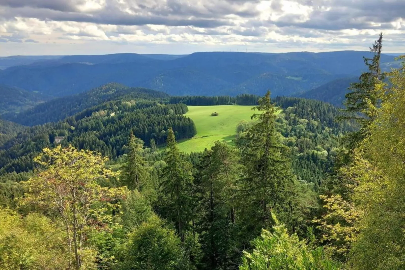 Schwarzwald Marie-Gebieden zomer 20km
