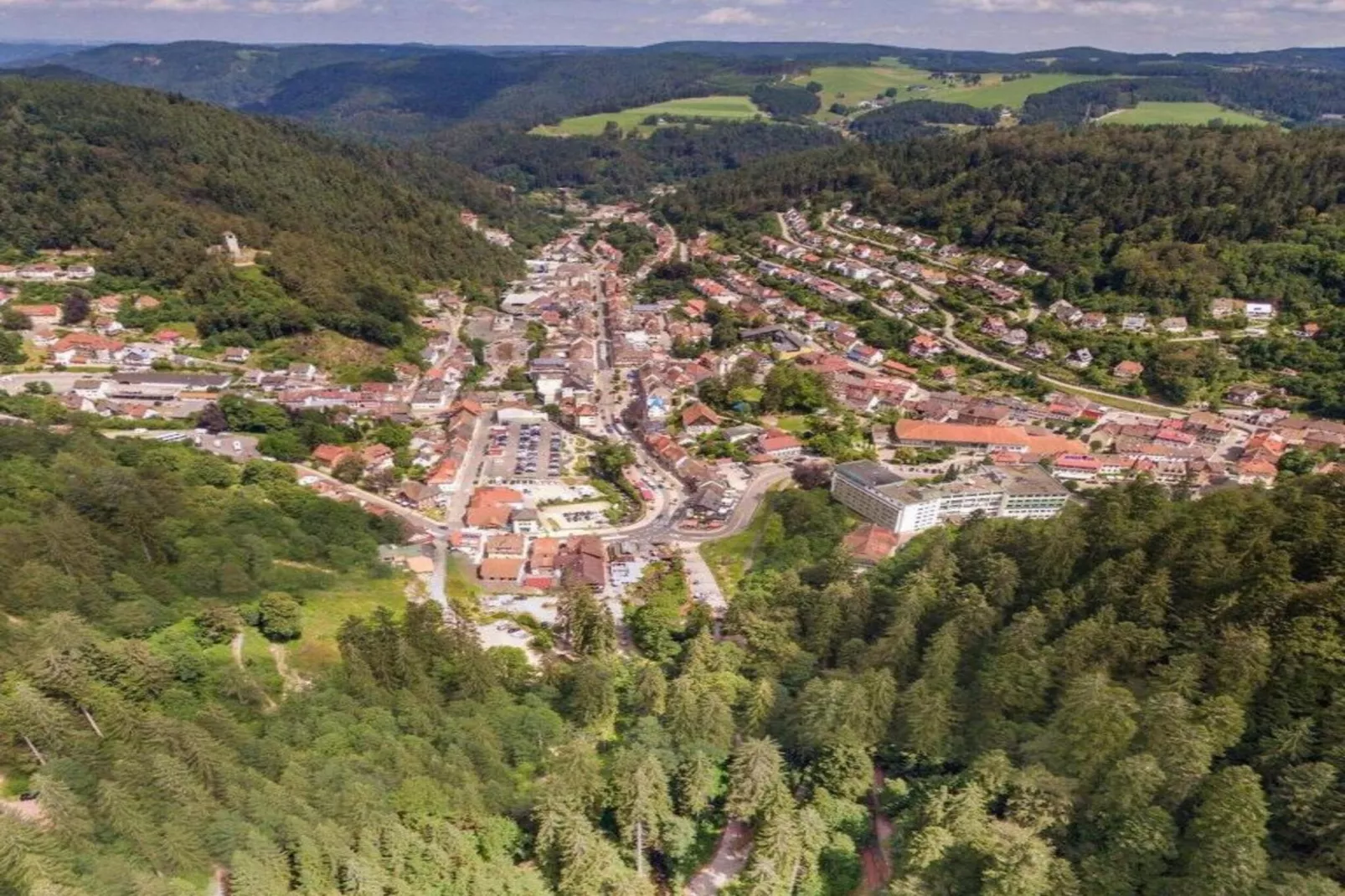Schwarzwald-Gebieden zomer 20km