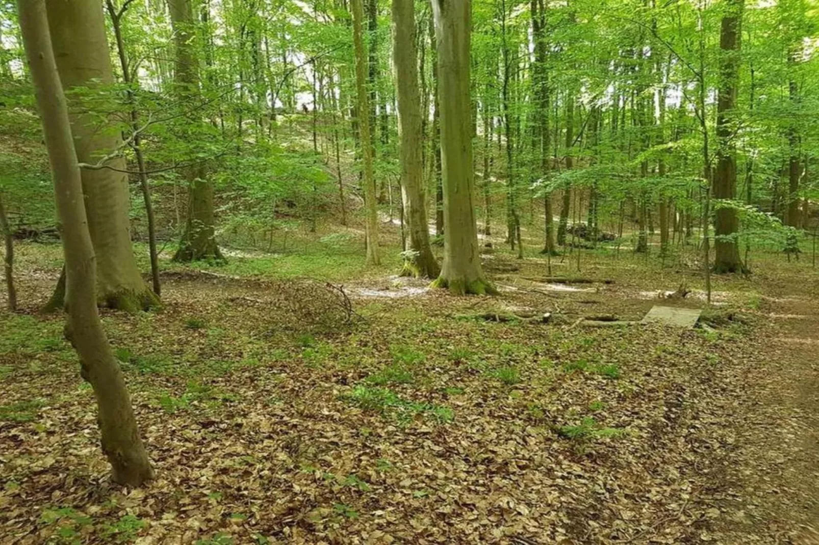 Ferienwohnung Franz-Gebieden zomer 20km