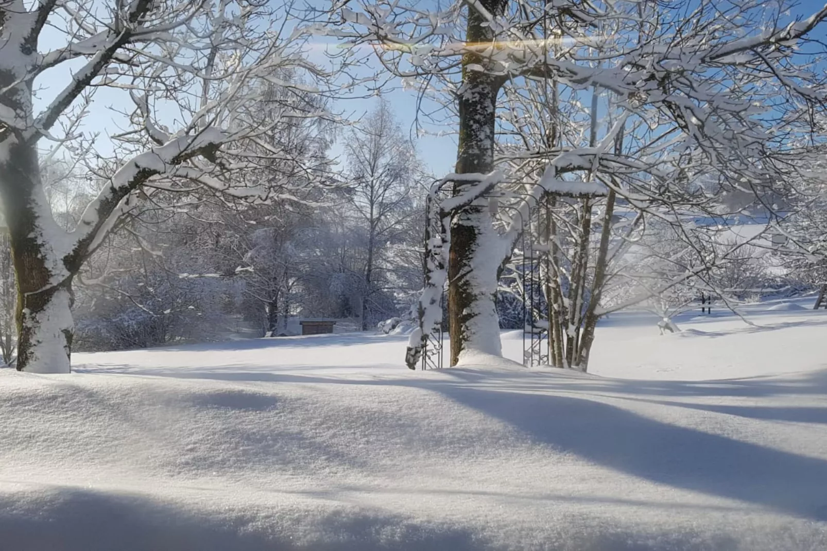 Waldferien-Uitzicht winter