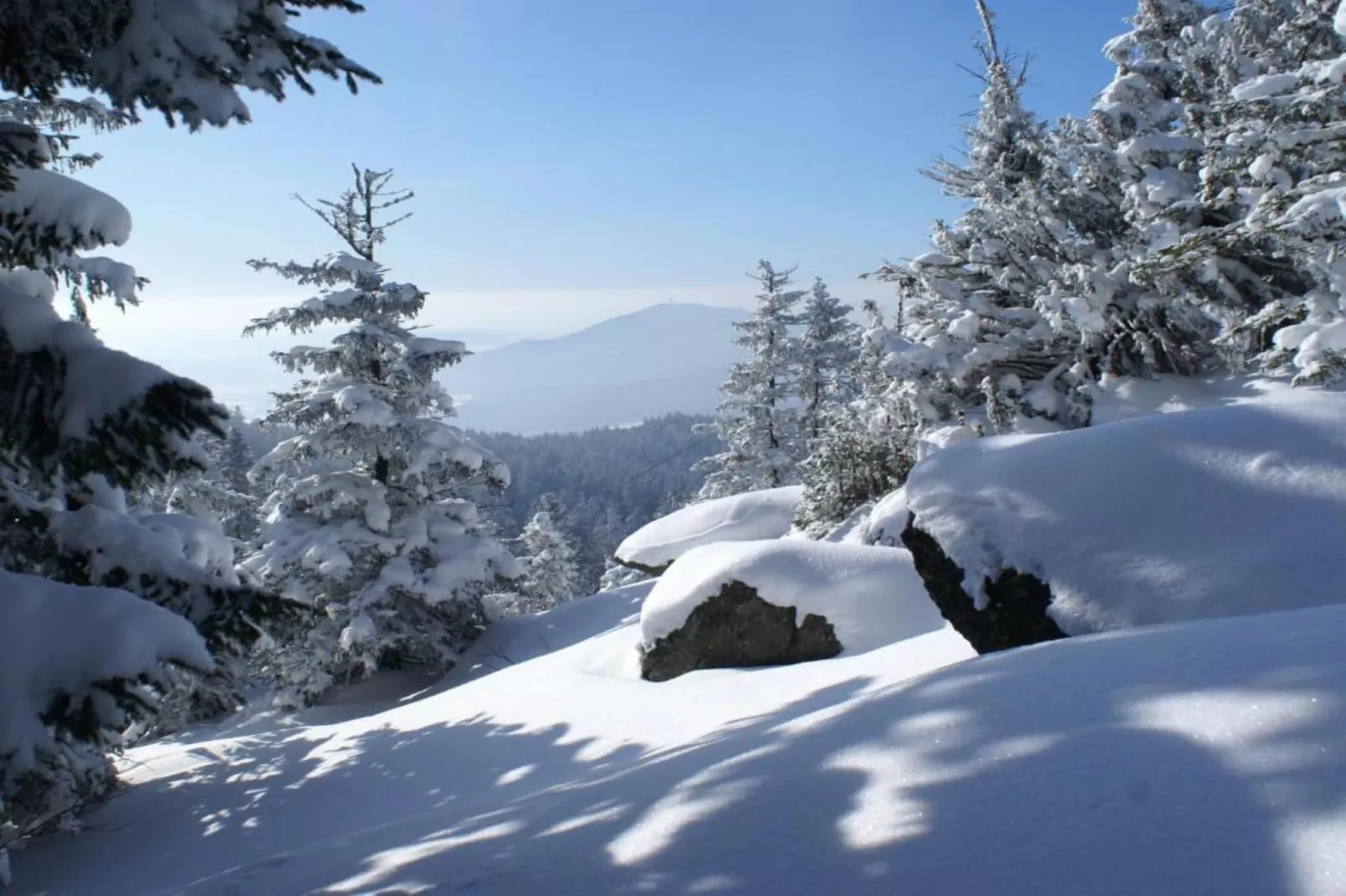 Im Zellertal-Gebied winter 20km