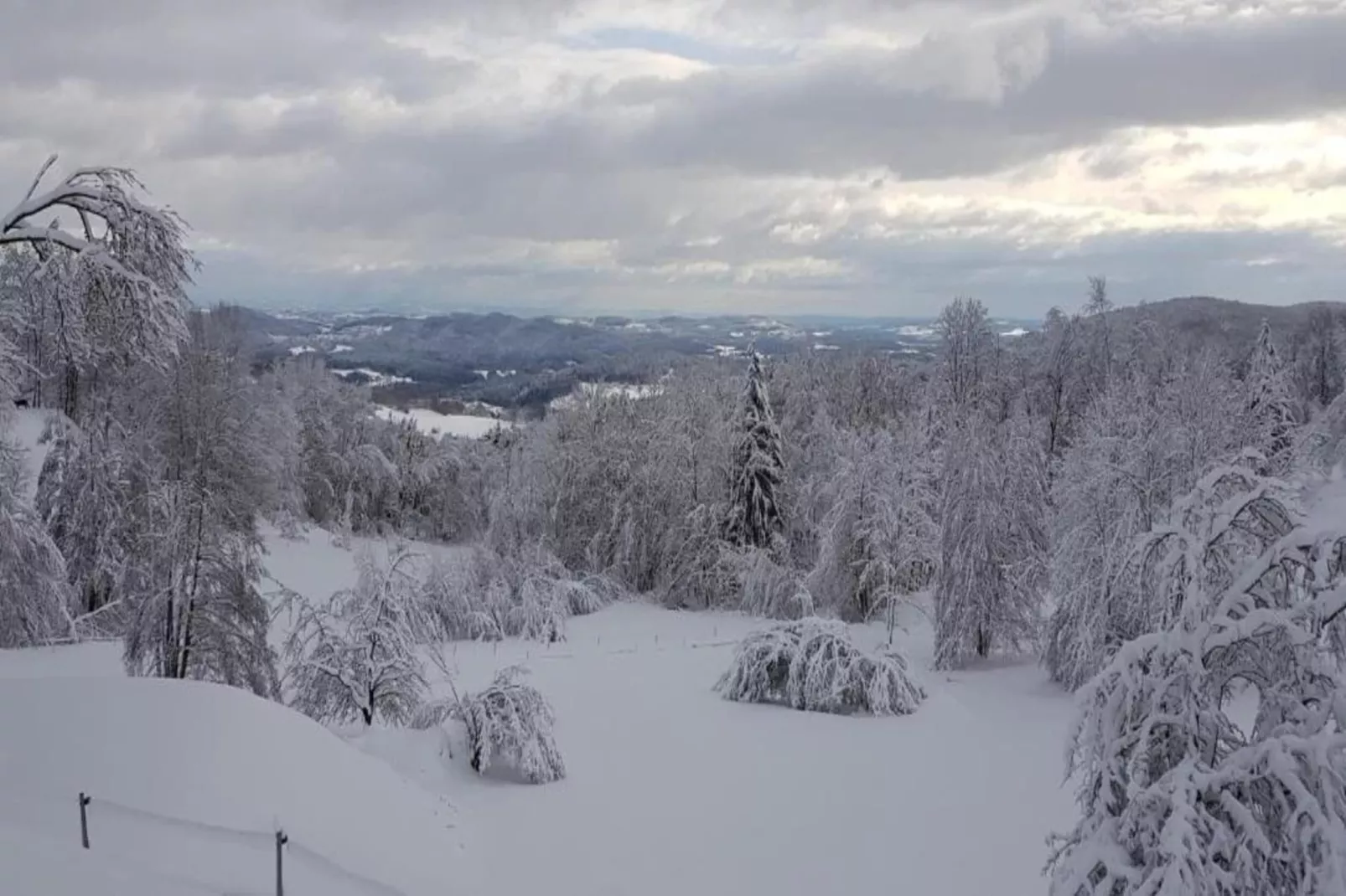 Sonnenwald-Gebied winter 20km