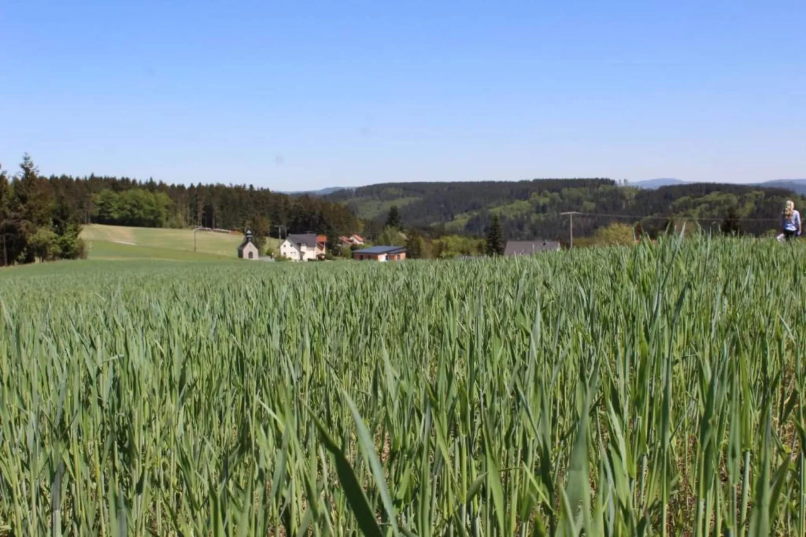 Weißenbrunn-Gebieden zomer 20km
