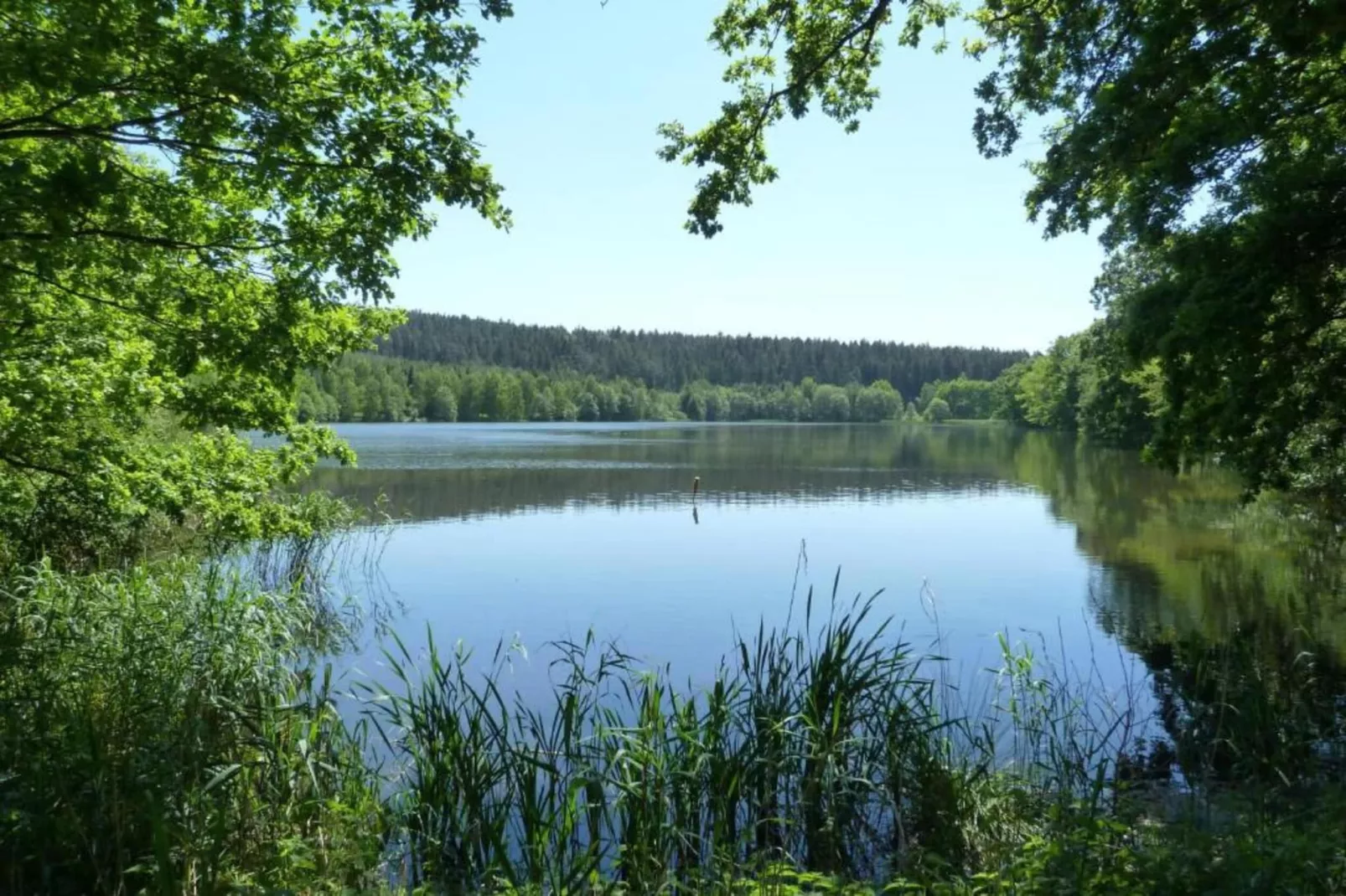 Langewiesen-Gebieden zomer 20km