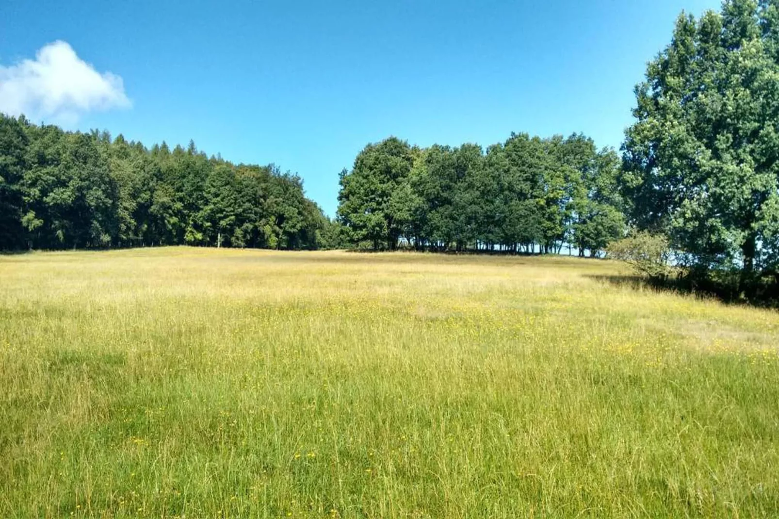 Thüringer Wald-Gebieden zomer 20km
