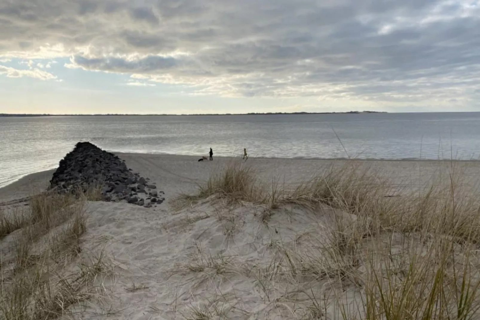Ferienwohnung in Wyk auf Föhr - Stockente-Gebieden zomer 5km