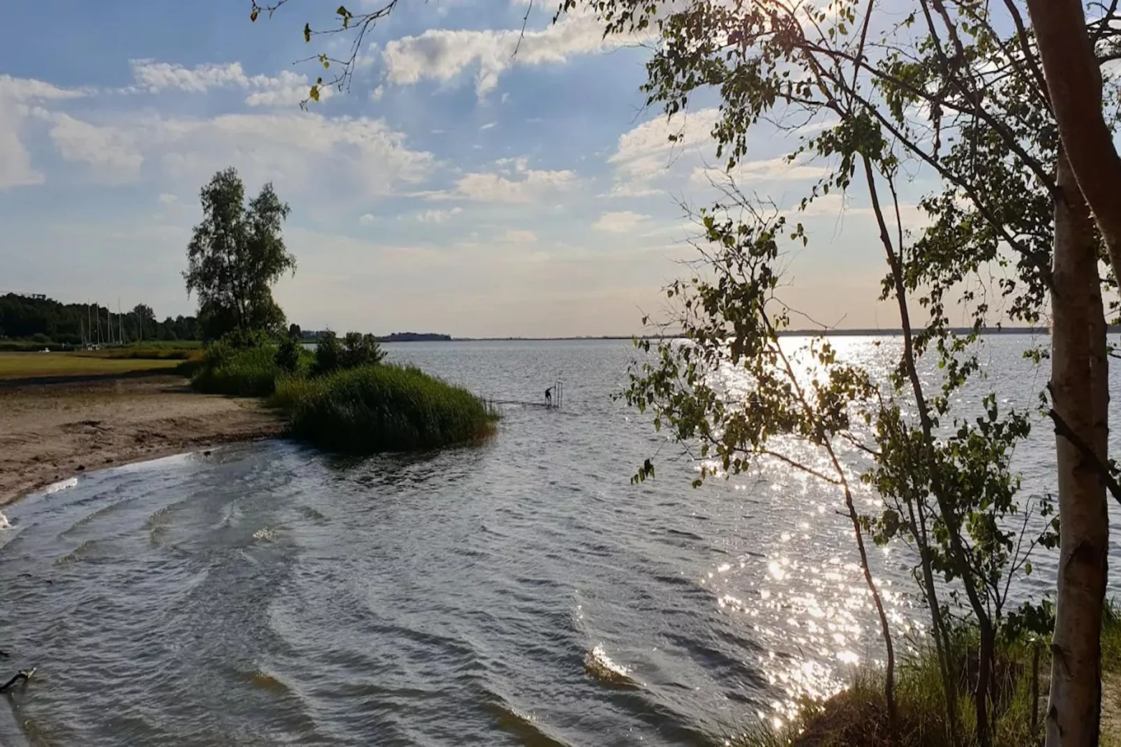 Seeschwalbe 55-Gebieden zomer 1km