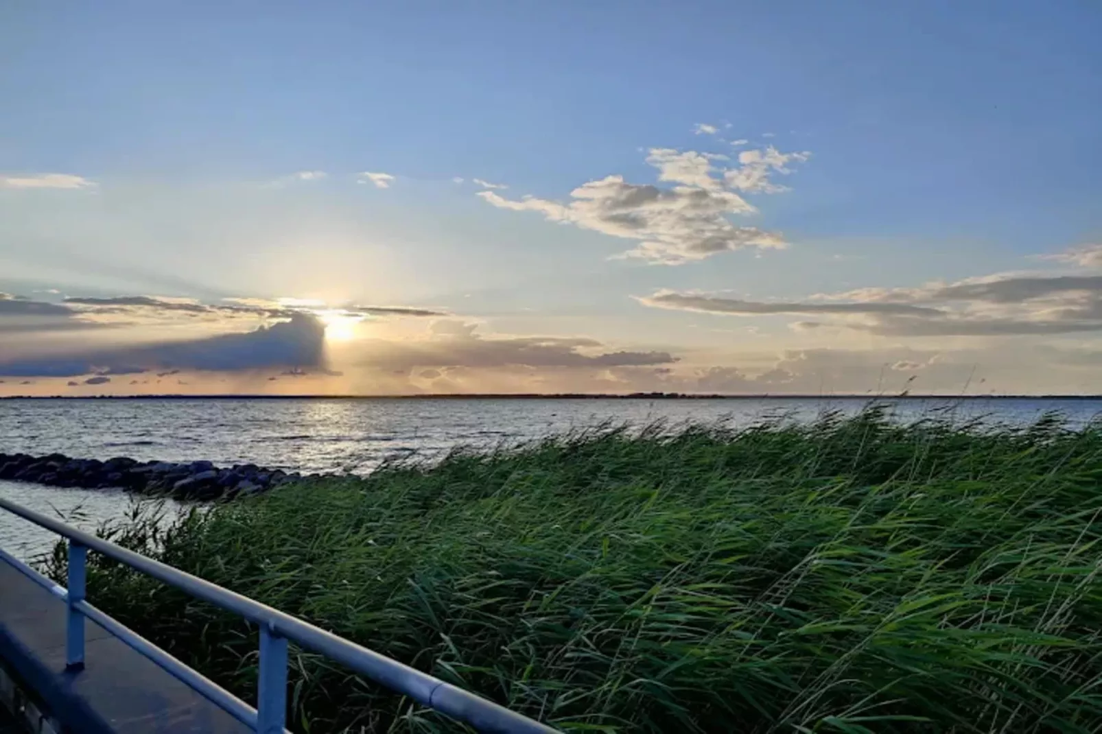 Haubenlerche 14-Gebieden zomer 5km