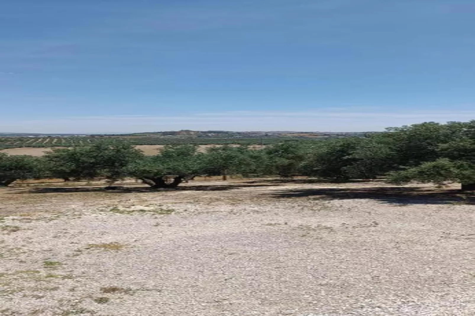 Piso confortable en Montilla-Gebieden zomer 20km