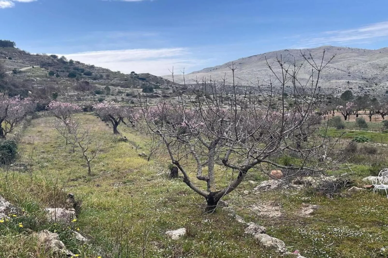Finca Caballo Verde-Gebieden zomer 5km