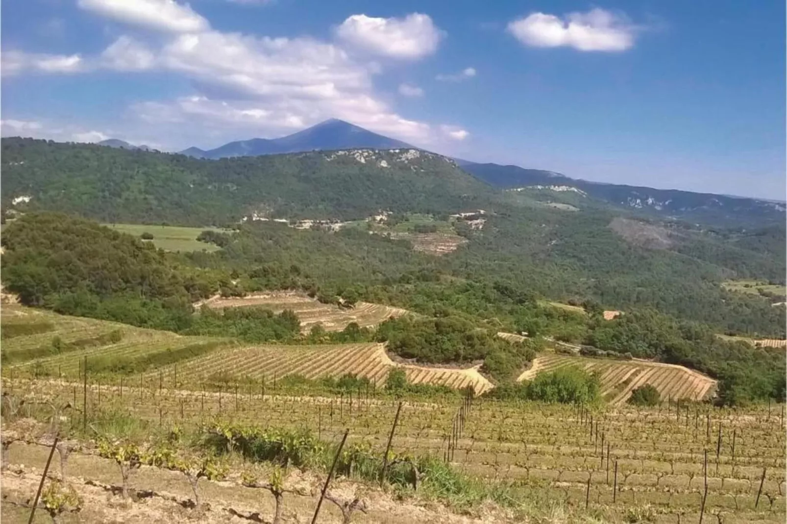 Les Demeures du Ventoux 1-Gebieden zomer 20km