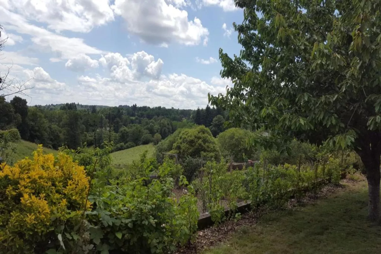 Domaine de Bellac 32P-Gebieden zomer 20km