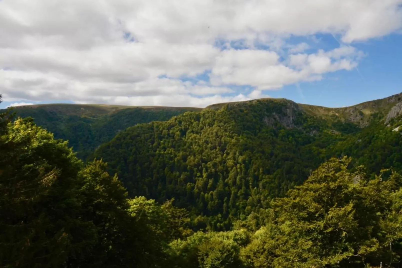 Le Rouvet près de Dordogne-Gebieden zomer 20km