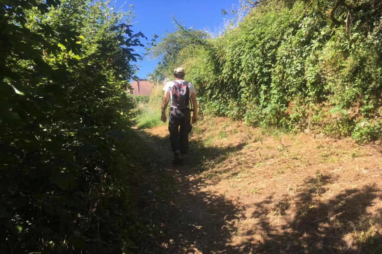 Les Côteaux de Sarlat 2-Gebieden zomer 5km