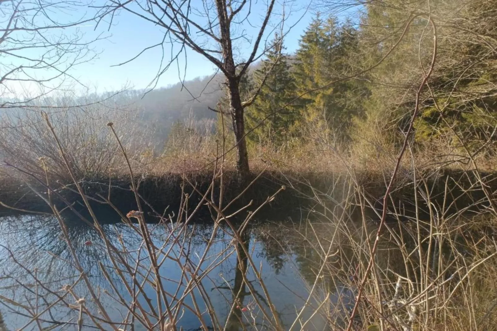 Gîte de la Pomme d’Happy - Abbévillers-Gebieden zomer 20km