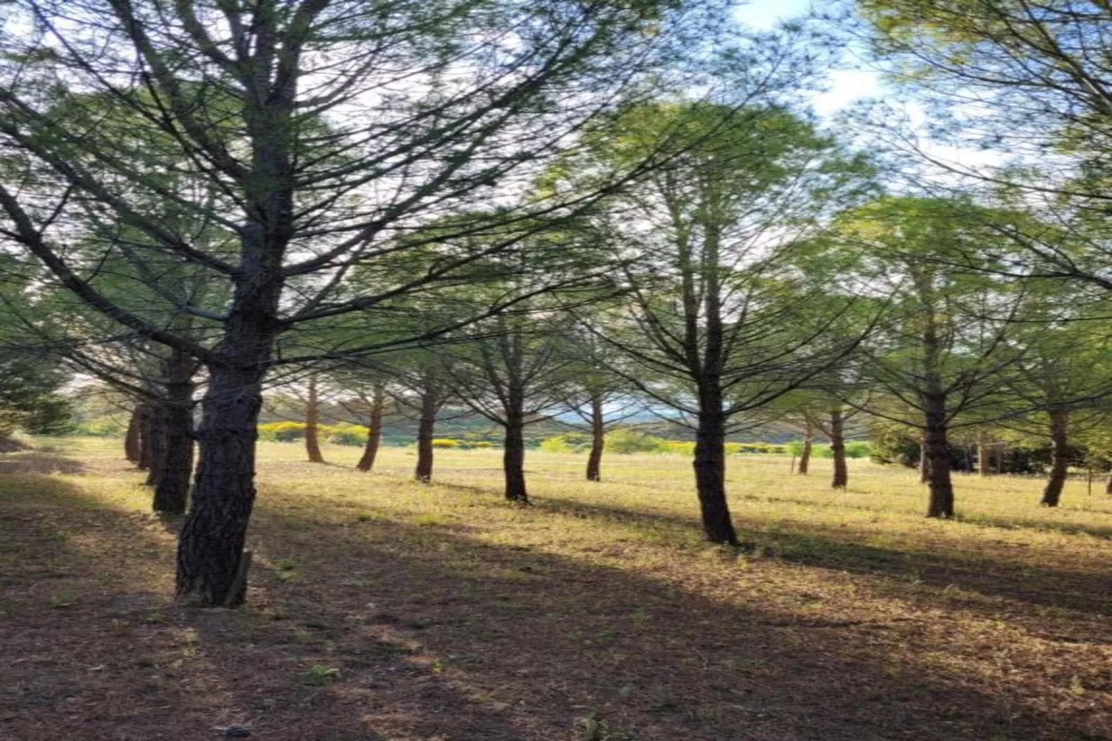 La Serre-Gebieden zomer 5km