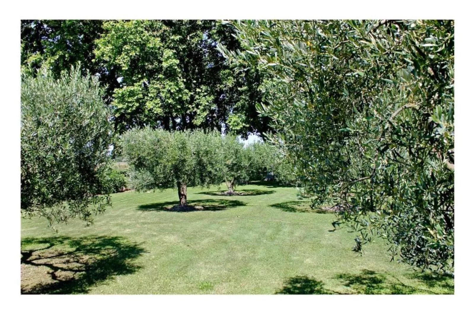 Maison de vacances Tannay-Gebieden zomer 20km