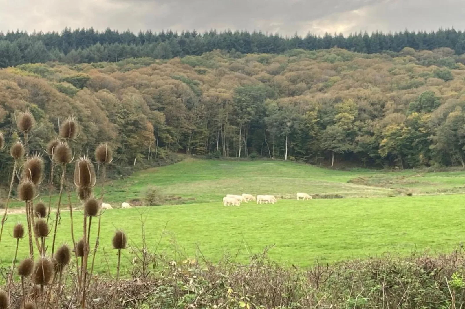 Apt 5 pers piscine partagée -  Jessica-Gebieden zomer 20km