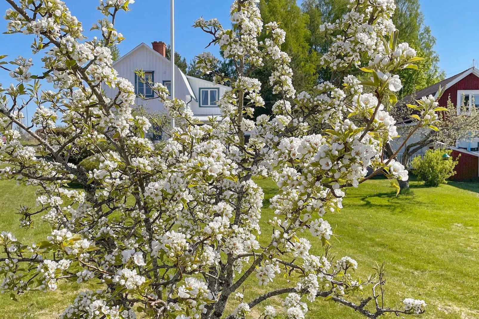 9 persoons vakantie huis in LYSVIK-Buitenlucht