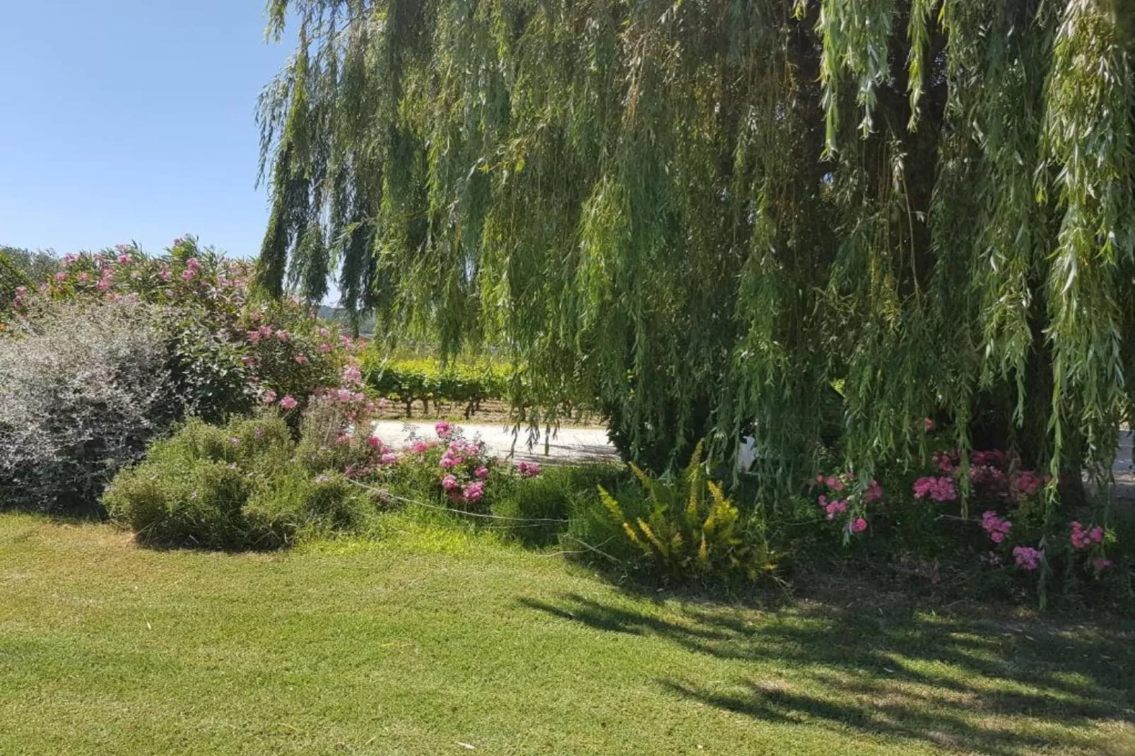 Villa Rose-Gebieden zomer 20km