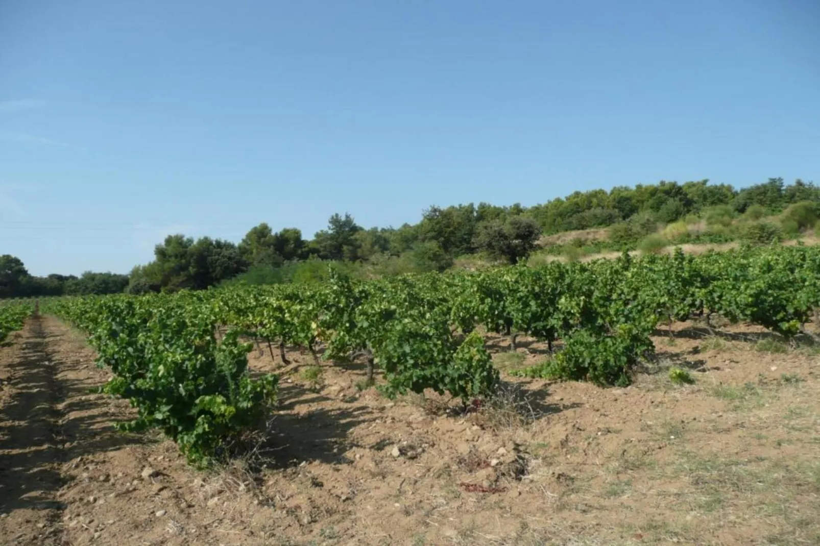 Appartement Geny Avignon-Gebieden zomer 20km