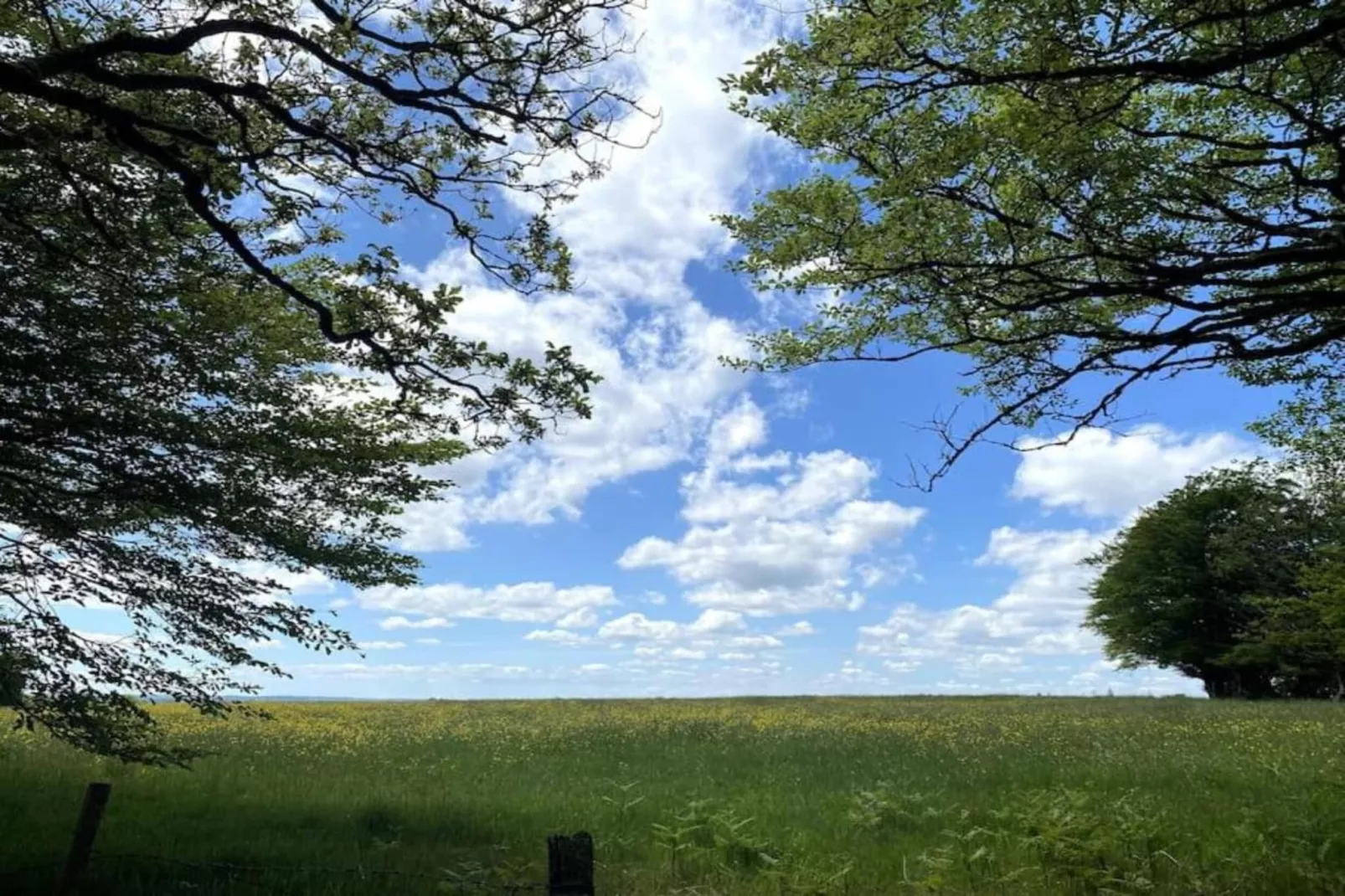 Higher House-Gebieden zomer 20km