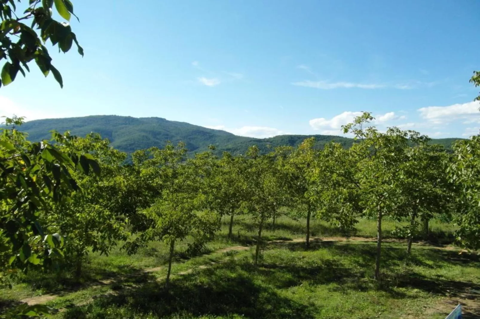 Appartamento per 6-Gebieden zomer 5km