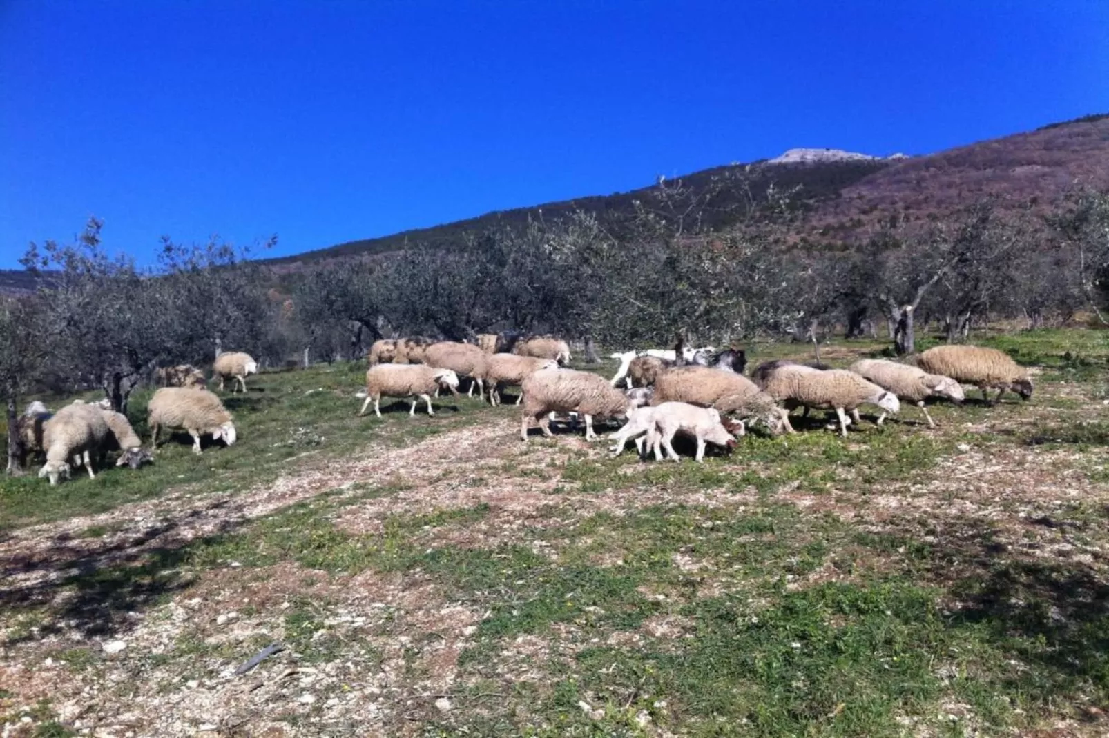 Appartamento 4 persone-Gebieden zomer 20km