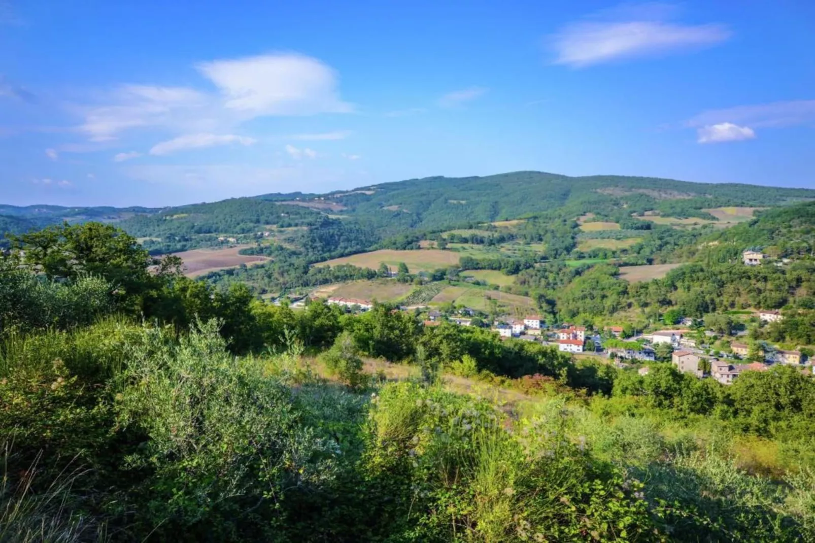 Belvedere-Gebieden zomer 5km