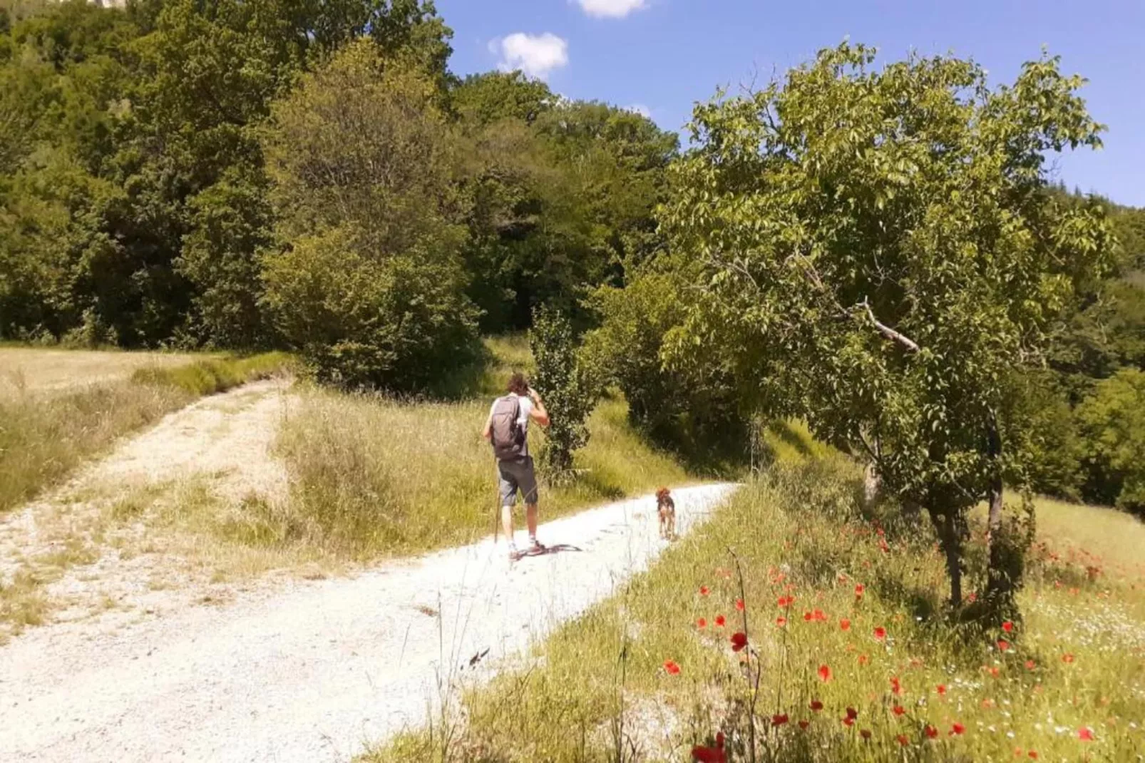 Villa Valtopina-Gebieden zomer 5km