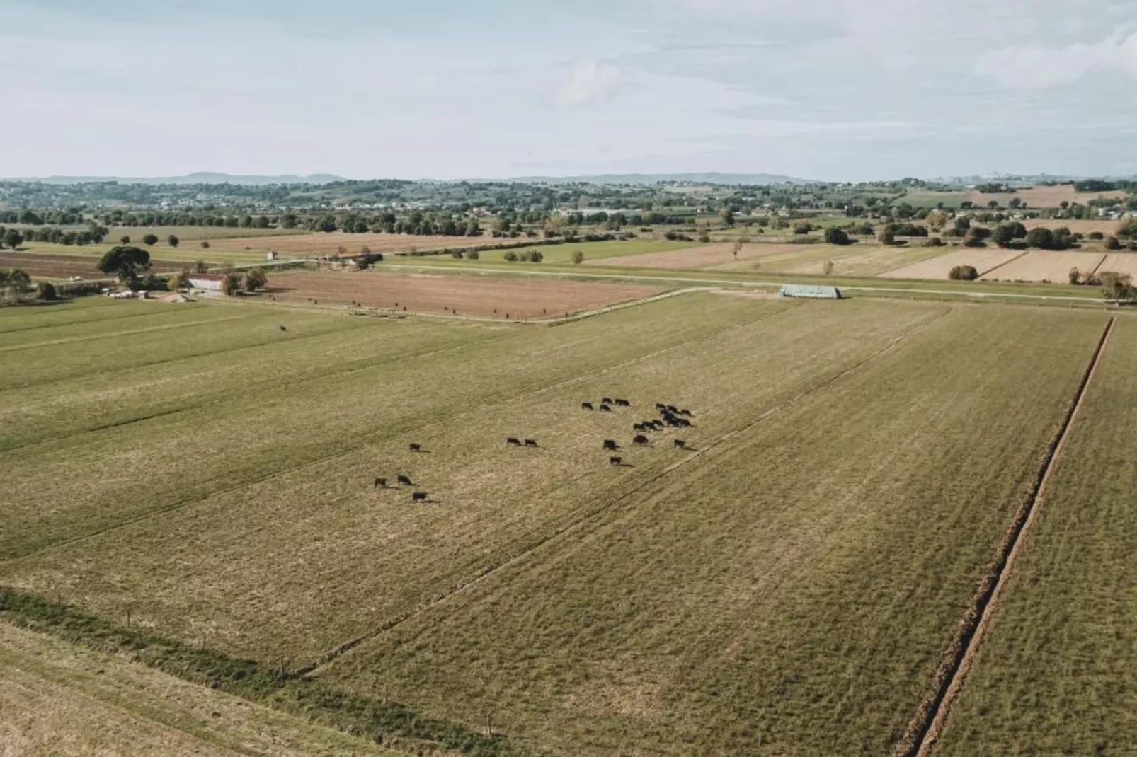 Orchidea-Gebieden zomer 20km